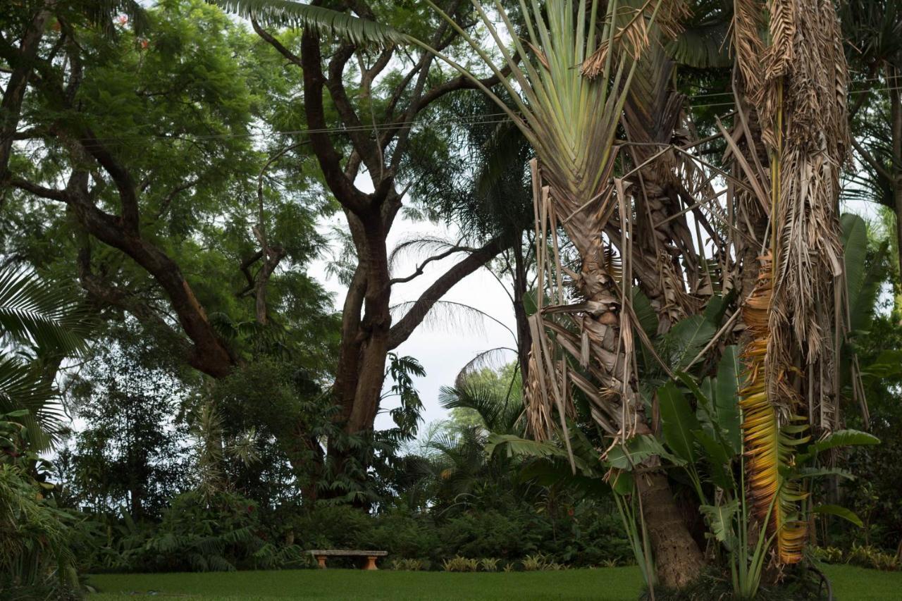 St George'S Guest House Tzaneen Bagian luar foto
